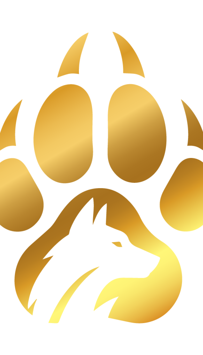transparent-icon